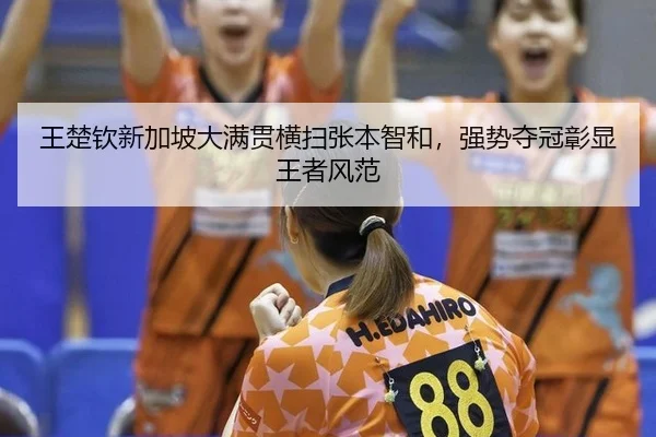 wang-chu-qin-xin-jia-po-da-man-guan-heng-sao-zhang-ben-zhi-he-qiang-shi-duo-guan-zhang-xian-wang-zhe-feng-fan-3-268.jpg