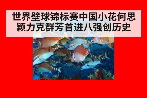 世界壁球锦标赛中国小花何思颖力克群芳首进八强创历史
