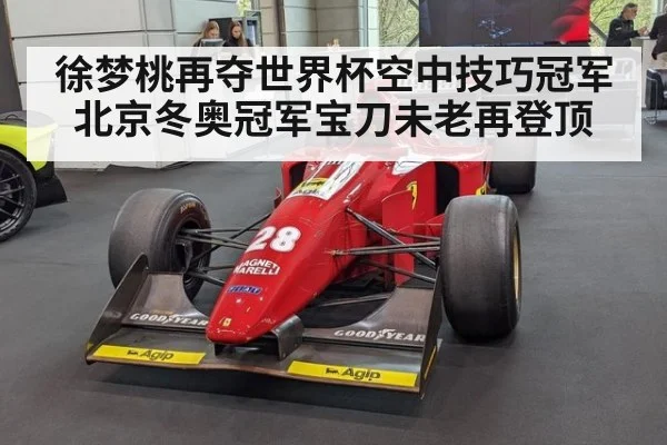 徐梦桃再夺世界杯空中技巧冠军 北京冬奥冠军宝刀未老再登顶