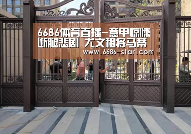 6686官方网站