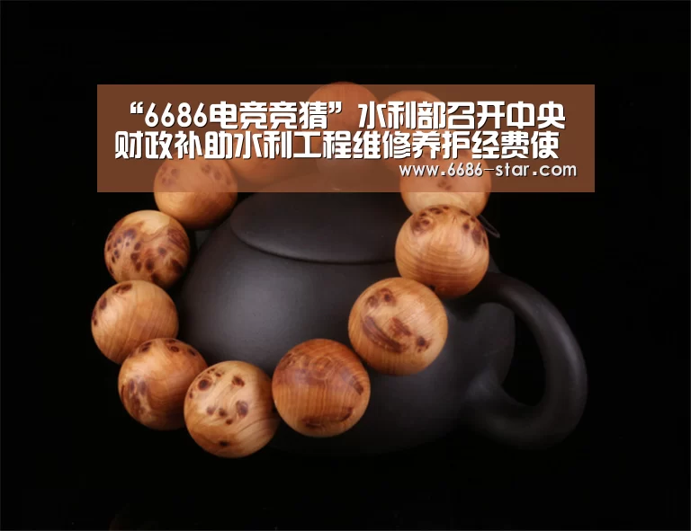 “6686电竞竞猜”水利部召开中央财政补助水利工程维修养护经费使用管理视频会(图2) 6686电竞竞猜