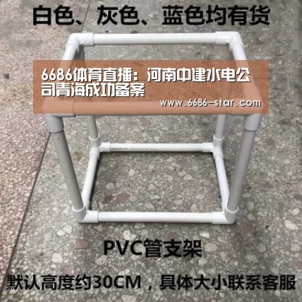 6686电竞竞猜
