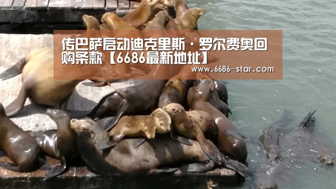 6686官方网站